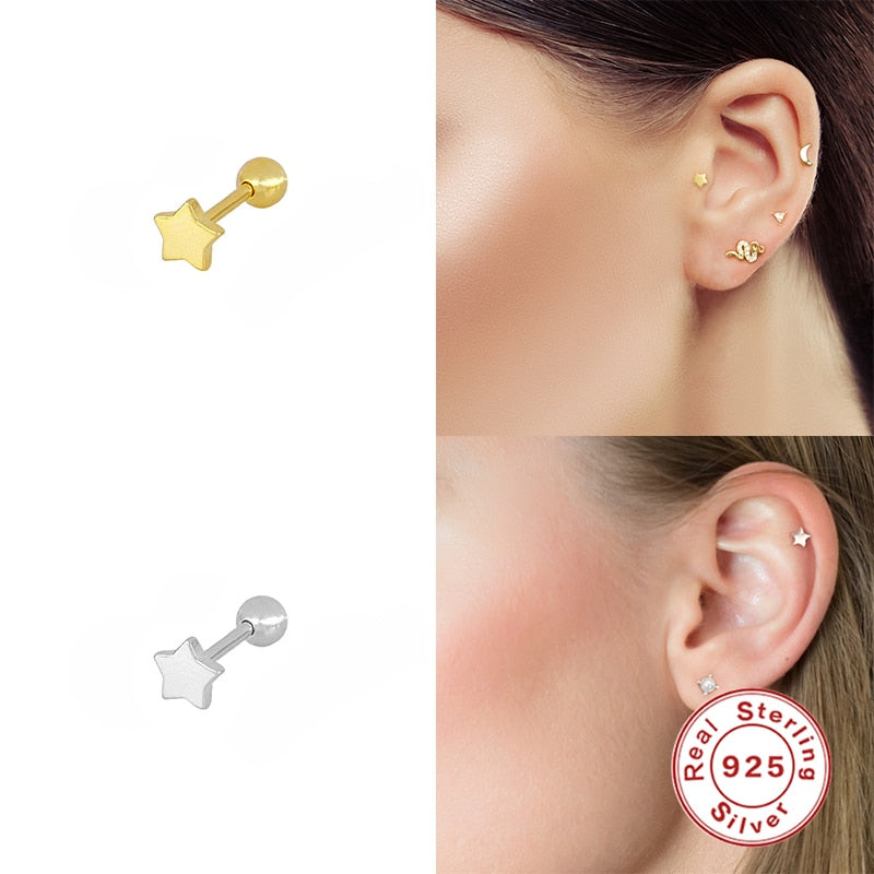 ROXI Minimalism Stud Earrings for Women Moon Snake Butterfly Geometry Piercings Earings 925 Sterling Silver Pendientes Plata 925